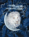 Lion High Definition Portrait #4 Orig. - White Lion MSL102 16X20 Lion High Definition Portrait #4 Orig. - White Lion MSL102 16X20