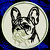 White Brindle Colored French Bulldog Portrait #2D Embroidery Patch - White