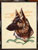 German Shepherd Embroidery Patch - Click for More Information