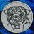 Pug Embroidery Patch - Grey