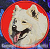 Samoyed Embroidered Patch for Samoyed Lovers - Click to Enlarge