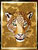 Jaguar Embroidery Patch - Click for More Information
