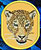 Jaguar Embroidery Patch - Gold