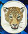 Jaguar Embroidery Patch - White